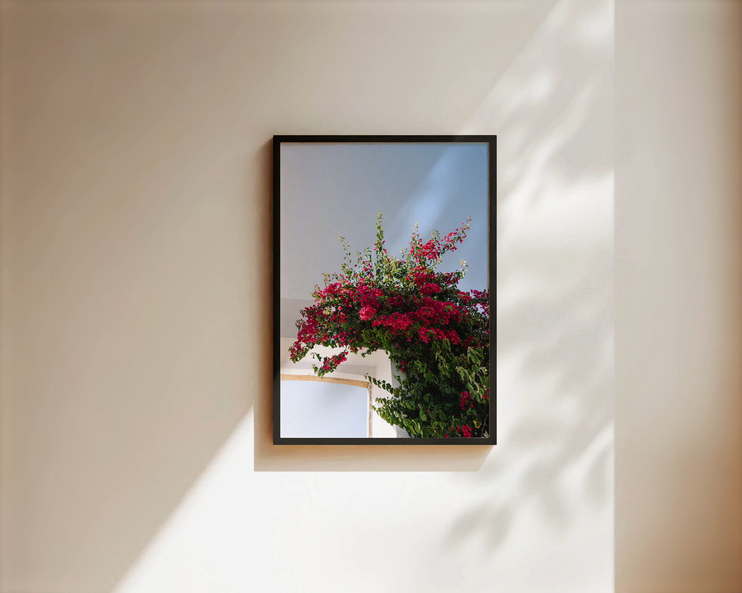 Wandbild "FLOWER OF PORTUGAL"