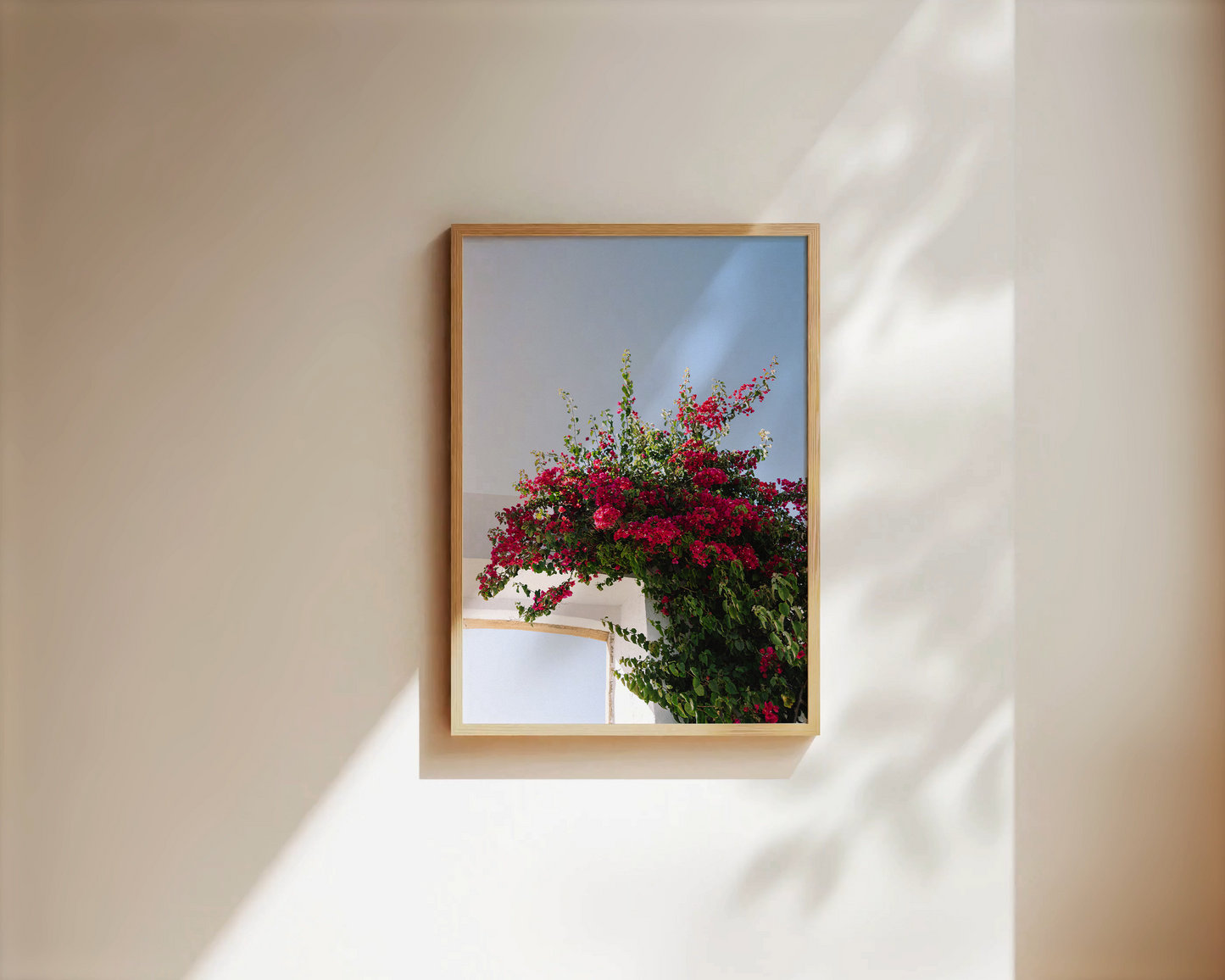 Wandbild "FLOWER OF PORTUGAL"