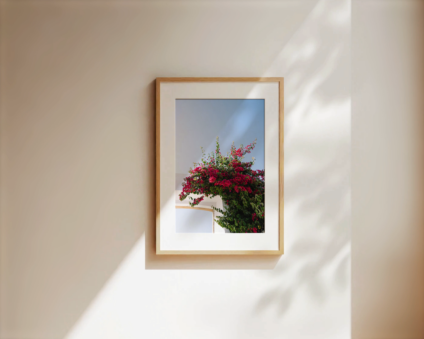 Wandbild "FLOWER OF PORTUGAL"