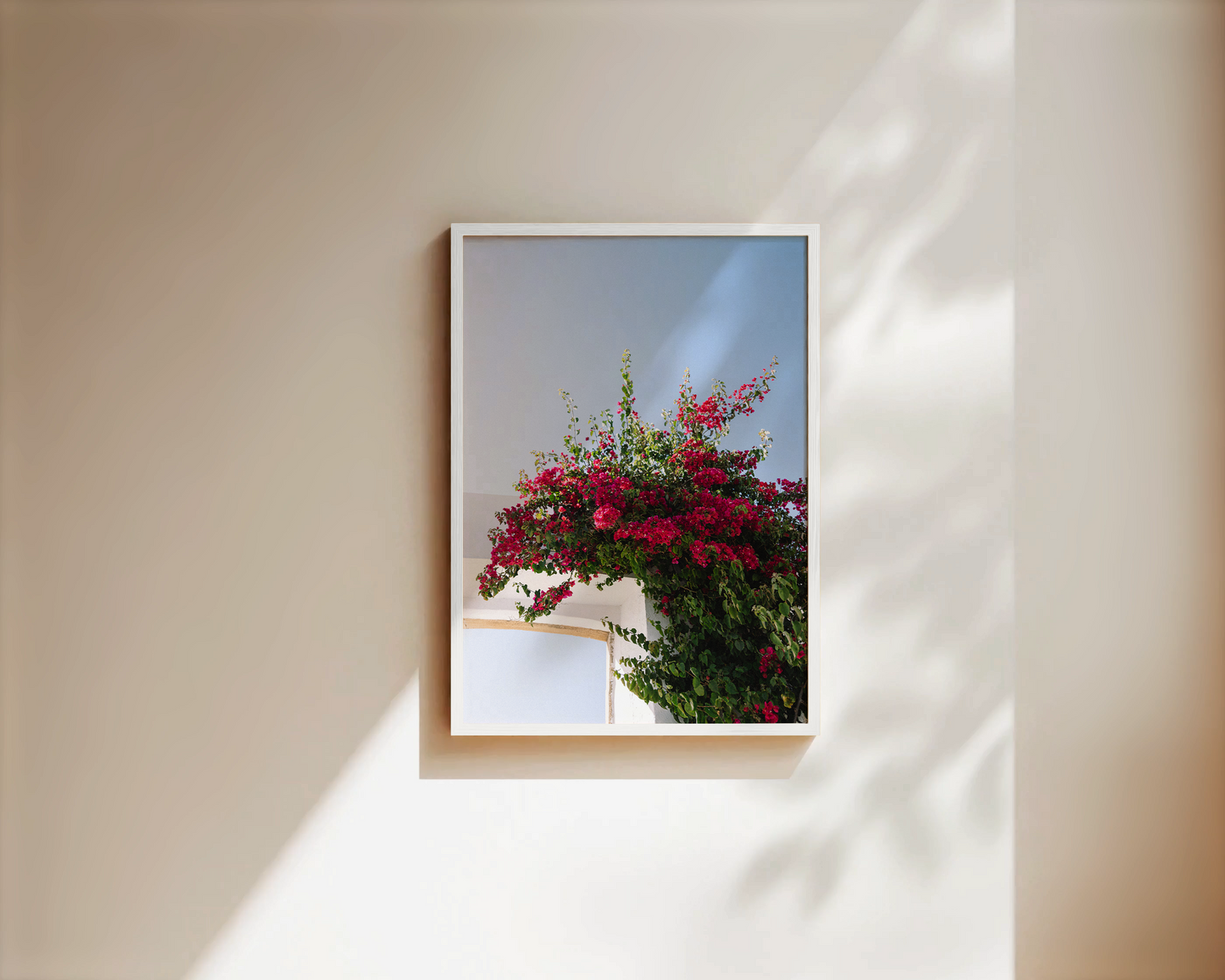 Wandbild "FLOWER OF PORTUGAL"