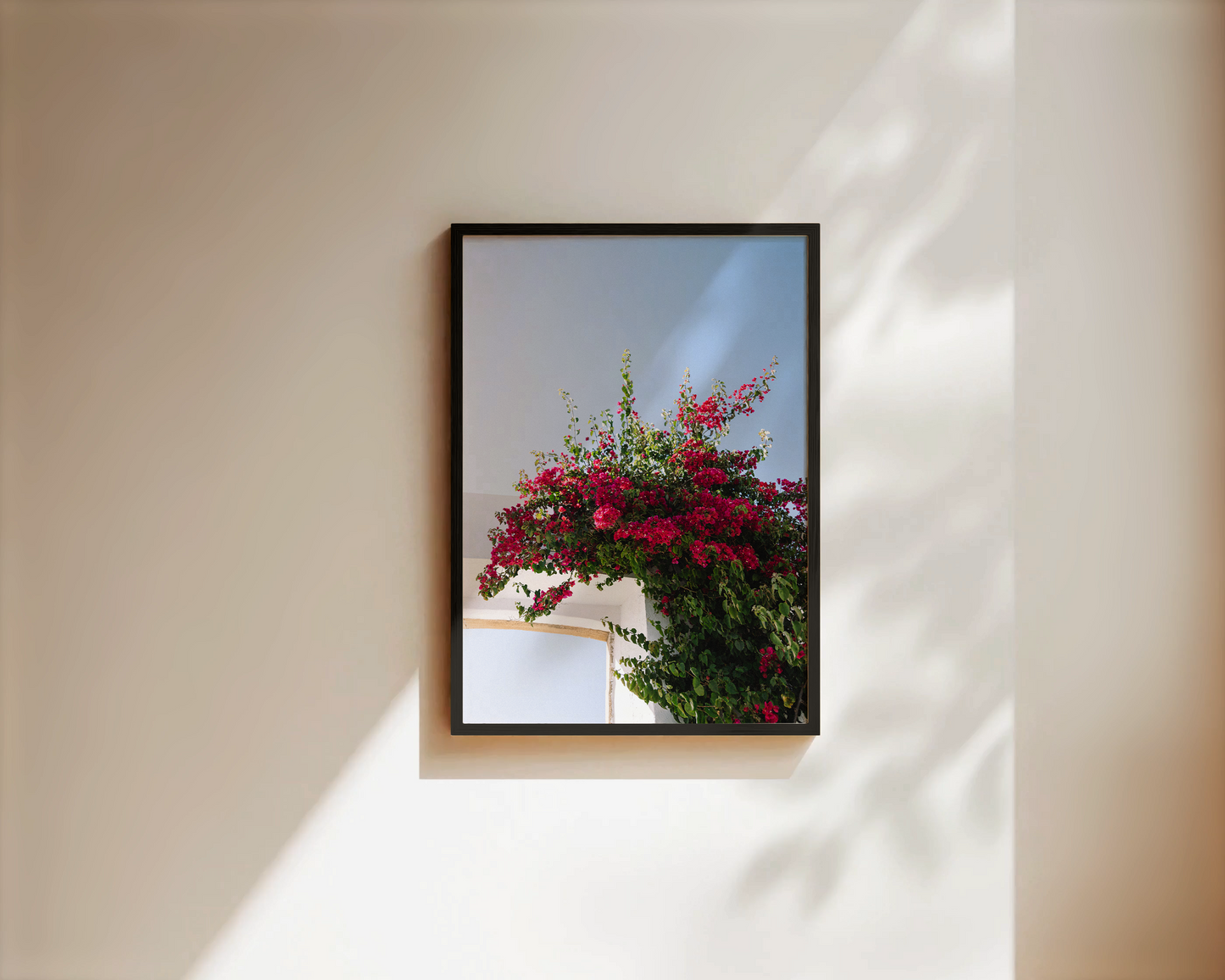 Fine Art Print "FLOWER OF PORTUGAL"