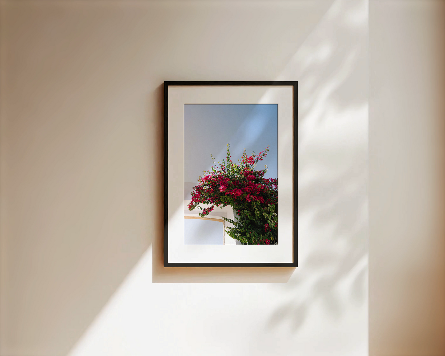 Fine Art Print "FLOWER OF PORTUGAL"