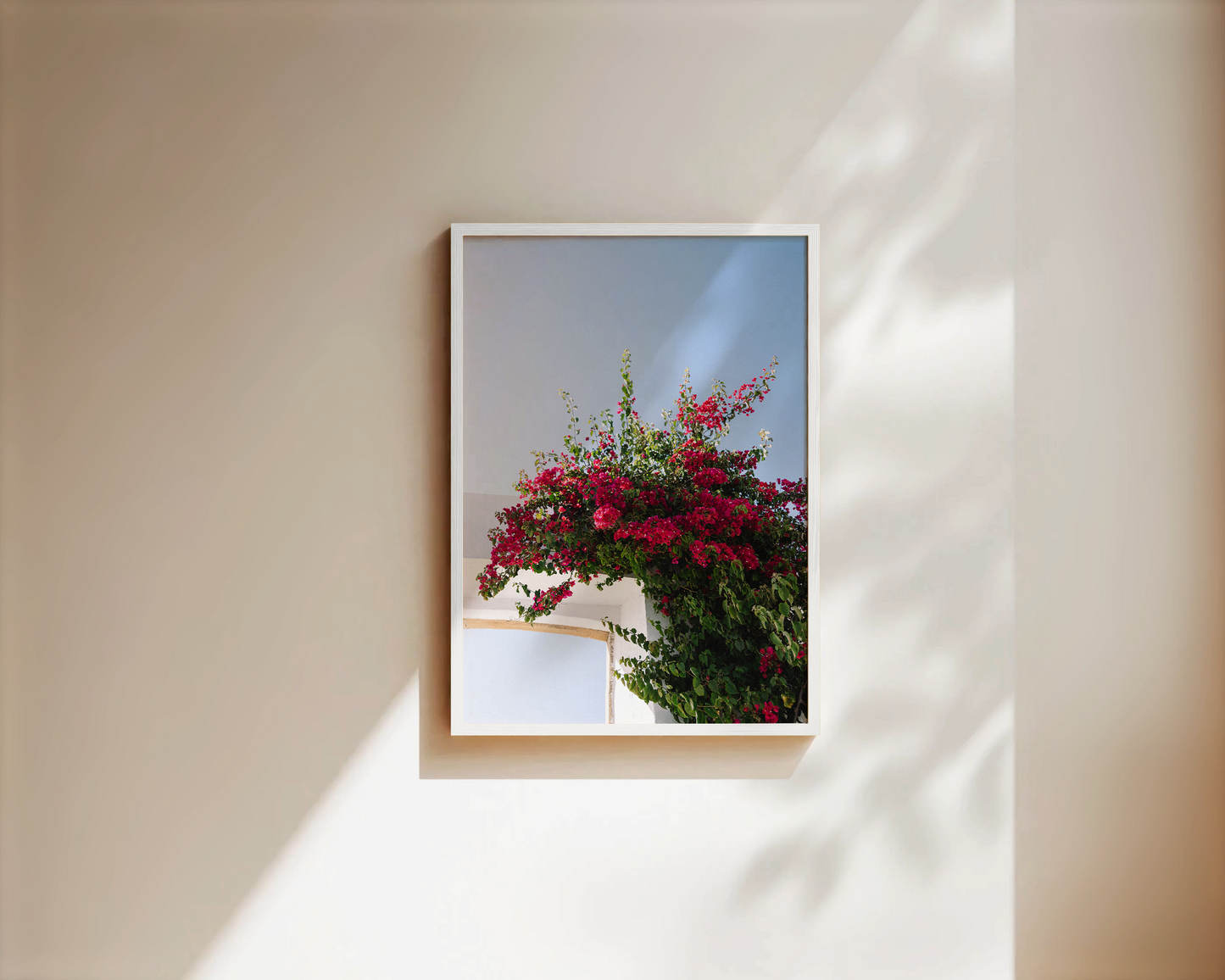 Fine Art Print "FLOWER OF PORTUGAL"