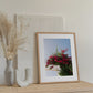 Wandbild "FLOWER OF PORTUGAL"